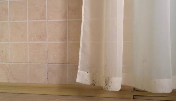 Best Mold Prevention Services  in Church Rock, NM