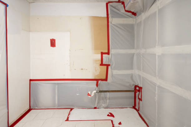 Best Commercial Mold Inspection  in Church Rock, NM