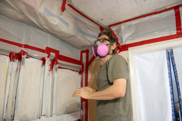 Best Mold Odor Removal Services  in Church Rock, NM
