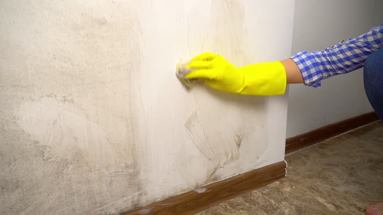 Best Environmental Consulting for Mold Prevention  in Church Rock, NM